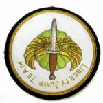 US Army Liberty Jump Team Badge