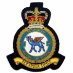 Royal Air Force Bullion Embroidery Badge