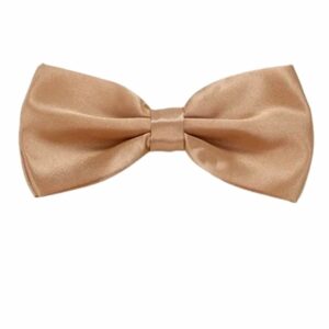 Milk Coffee Silk bow tie
