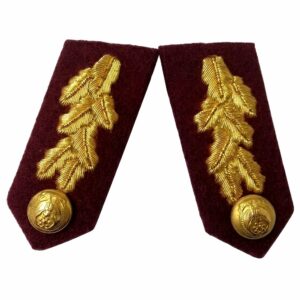 Arab Emirates Gorgets Collar Gold Braid Senior Officers