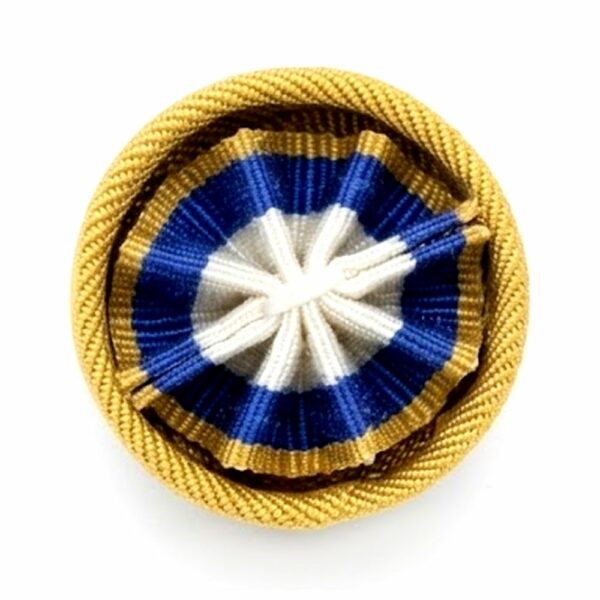 Air Force Medal Rosette Lapel Pin