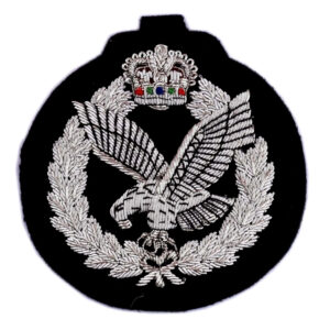 Army Air Corps Blazer Badg