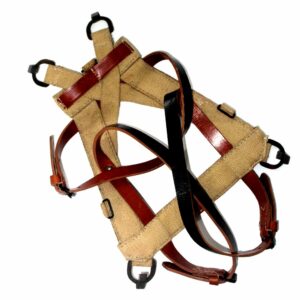 German A Frame backpack