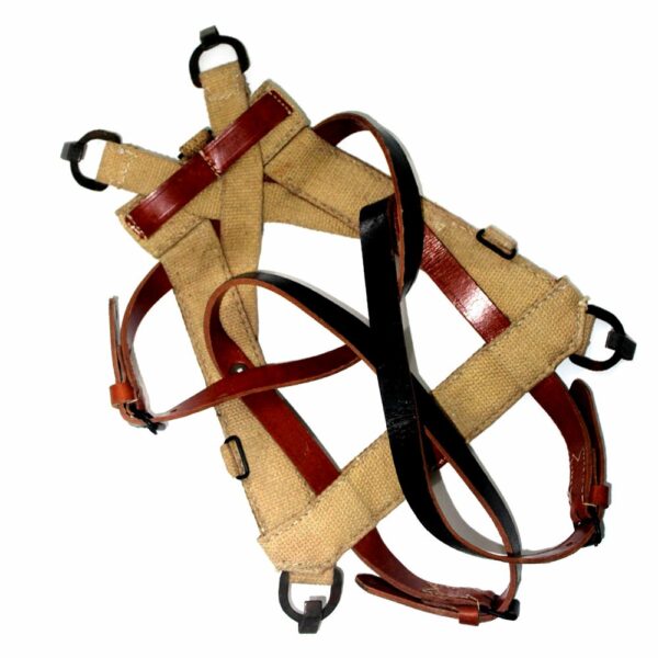 German A Frame backpack