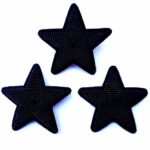 Black Embroidered Bullion Brooch Star