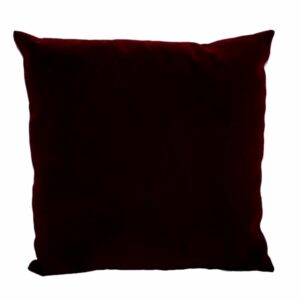Velvet ceremonial cushion