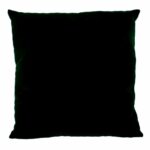Green velvet cushion Supplier