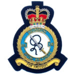 Royal Air Force Squadron Gold Bullion Badge