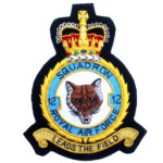 Squadron Royal Air Force Embroidered Badge